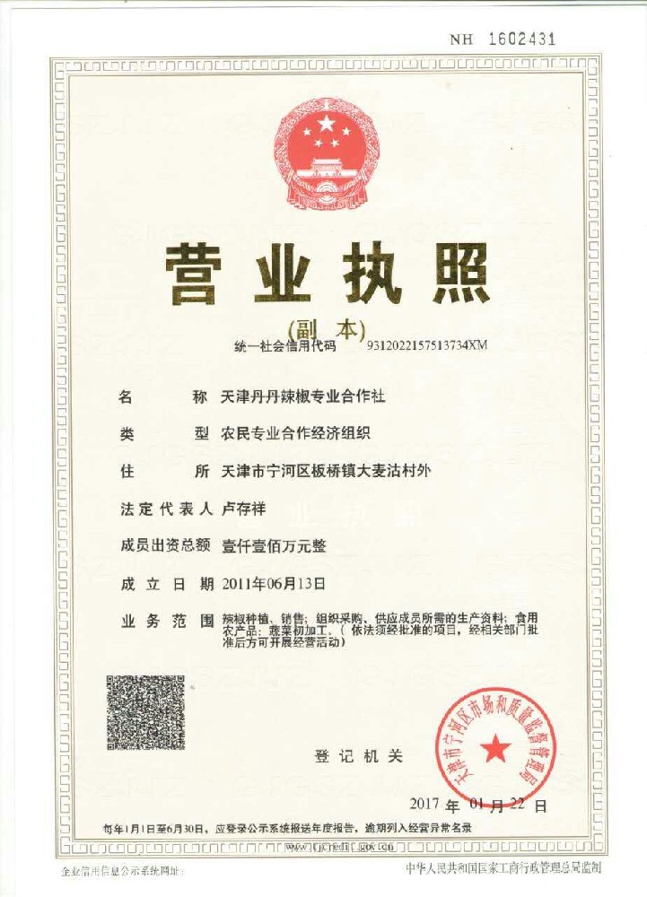 公司證件
